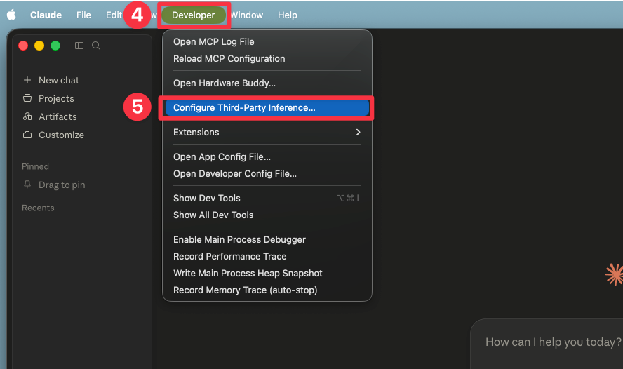 Help menu, Troubleshooting, Enable Developer Mode